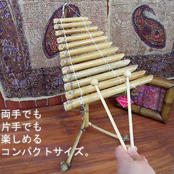 画像1: 竹琴(S)☆ダン・トゥルン☆ベトナム民族楽器 (1)
