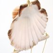 画像10: 幸せを呼ぶフクロウ オウルシェル オーナメント 貝殻デザイン 南国 マリン  オシャレ インテリア   (10)