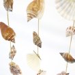 画像7: 幸せを呼ぶフクロウ オウルシェル オーナメント 貝殻デザイン 南国 マリン  オシャレ インテリア   (7)